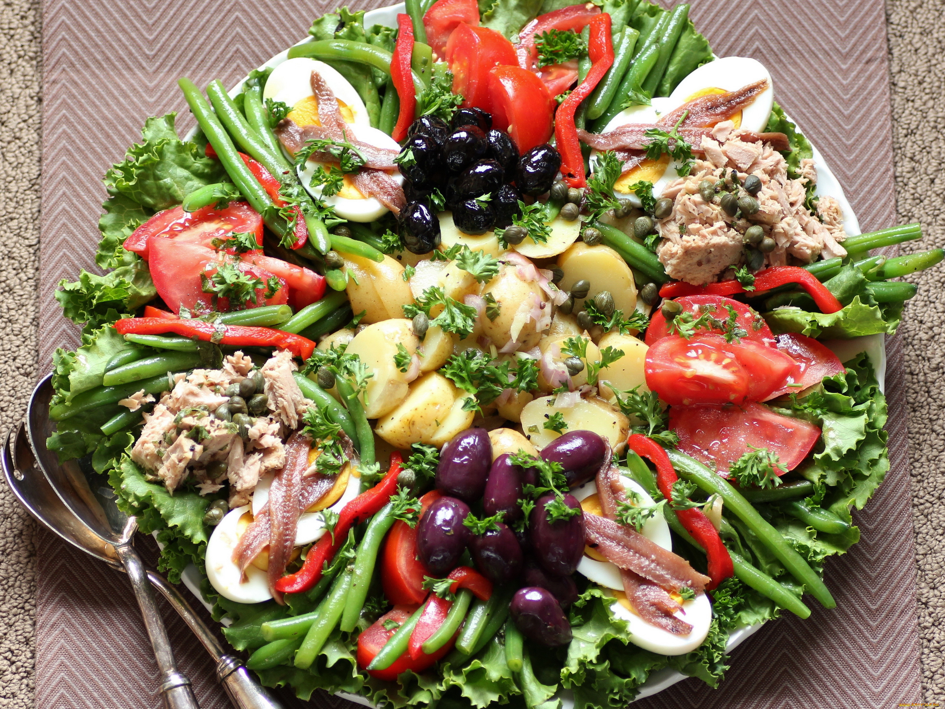 , , , nicoise, , , , 